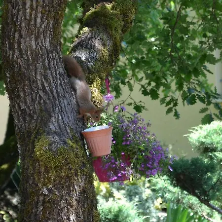 別荘 Les De Lescurou *