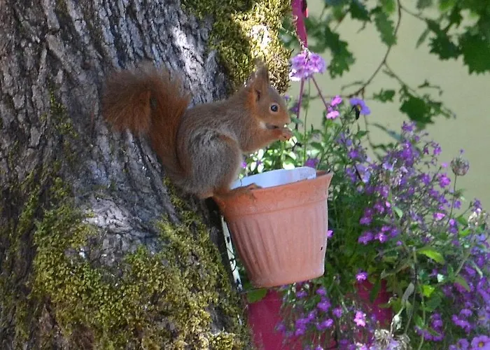 Les De Lescurou Limogne-en-Quercy