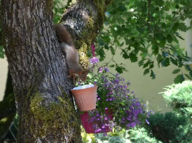Hébergement de vacances Les De Lescurou *