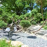 Les De Lescurou * Limogne-en-Quercy