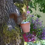 Les De Lescurou Limogne-en-Quercy